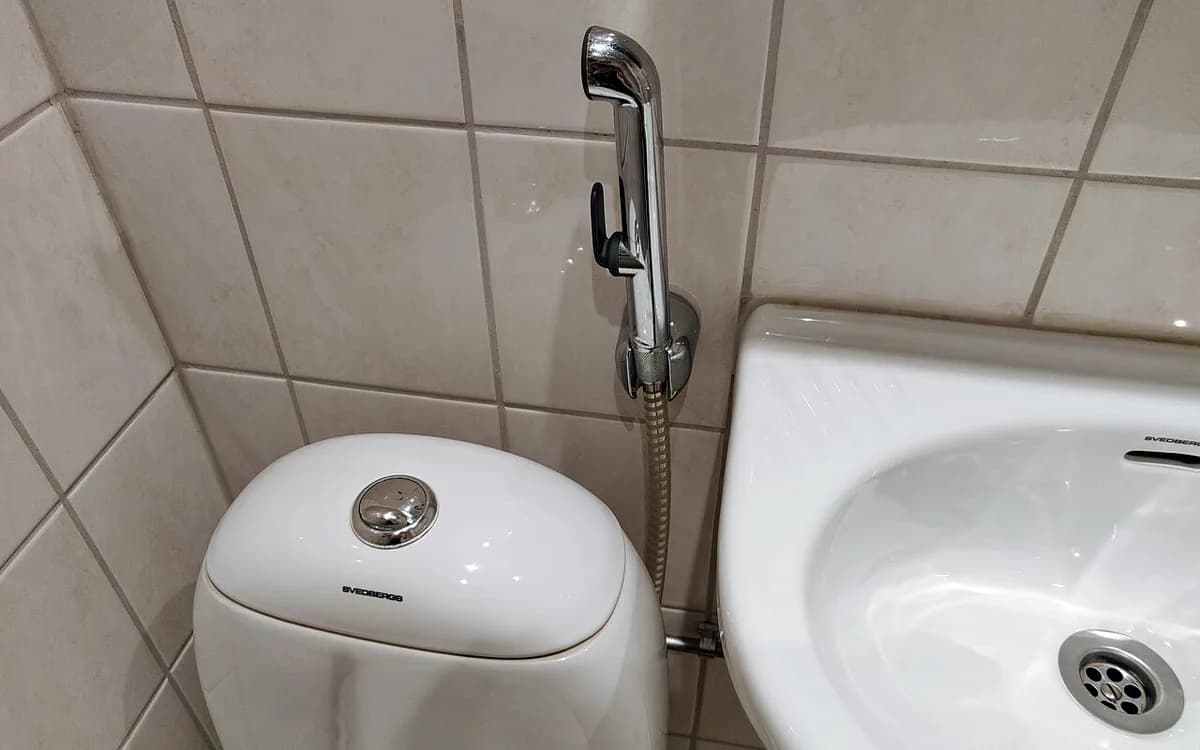 Ręczna słuchawka bidetowa obok toalety i umywalki.